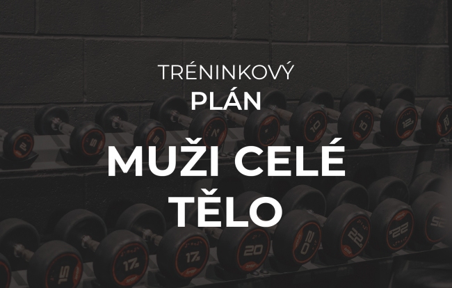 Tréninkový plán Muži 3x v týdnu celé tělo