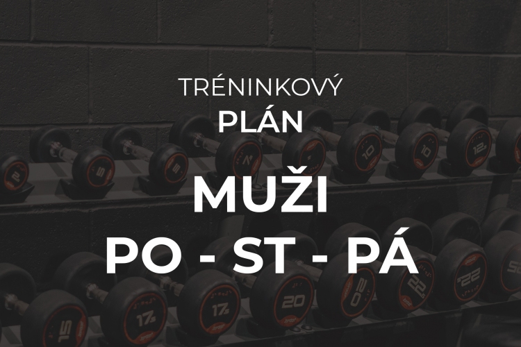 Tréninkový plán Muži (dělené tělo) po - st - pá