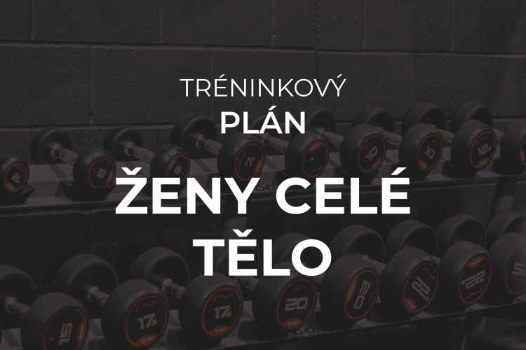 Tréninkový plán Ženy 3x v týdnu celé tělo