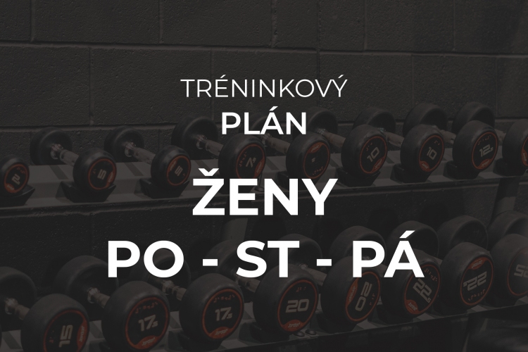 Tréninkový plán Ženy (dělené tělo)  po - st - pá